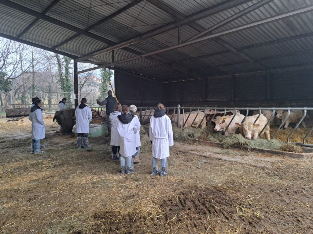 Laboratorijske in terenske vaje UPK